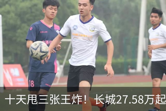 十天甩三张王炸！长城27.58万起，864马力续航1096km