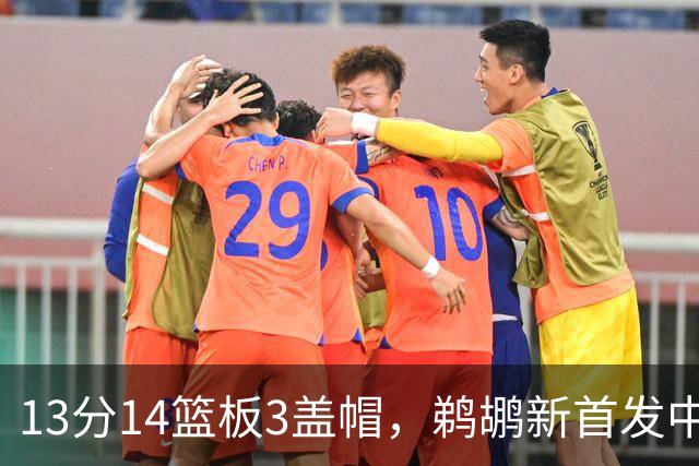 13分14篮板3盖帽，鹈鹕新首发中锋首秀交出两双